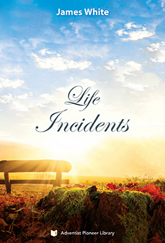 Life Incidents